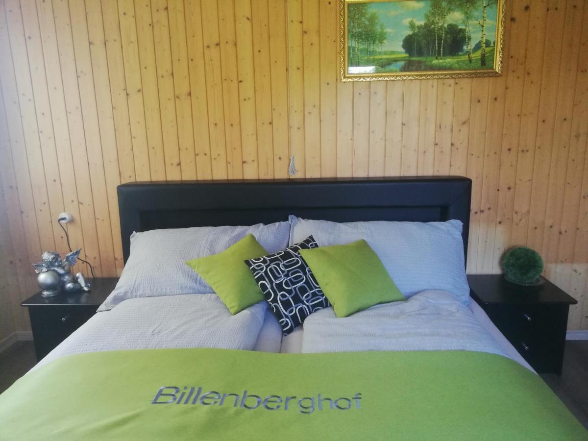 Appartement Billenberghof à Saint-Gall Extérieur photo